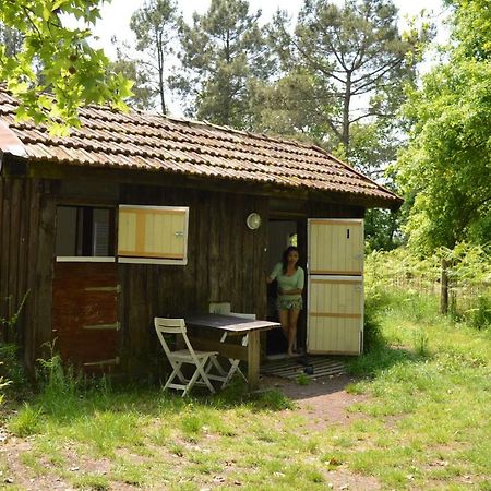 Cabane En Foret Onesse-et-Laharie Zewnętrze zdjęcie