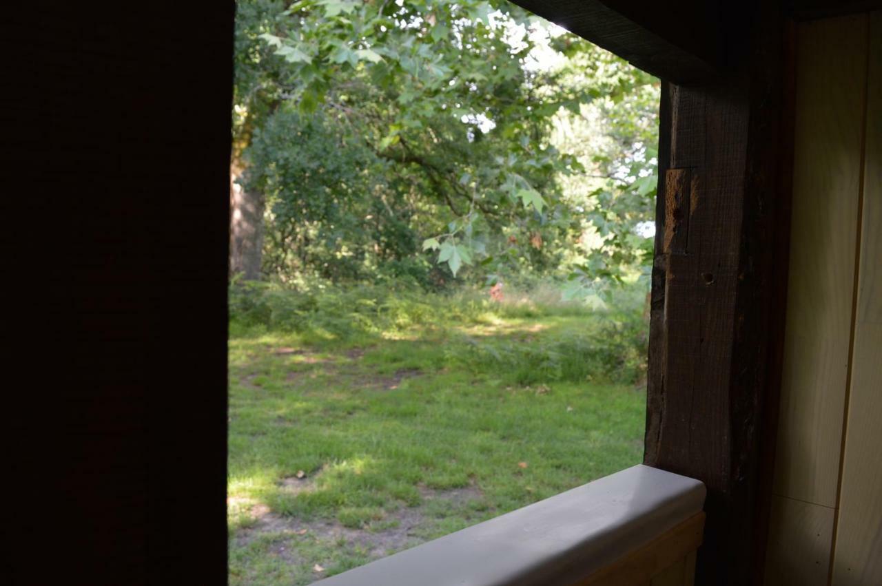 Cabane En Foret Onesse-et-Laharie Zewnętrze zdjęcie