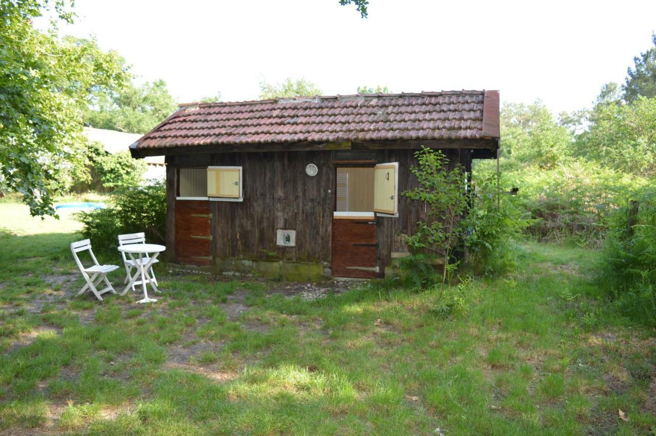 Cabane En Foret Onesse-et-Laharie Zewnętrze zdjęcie