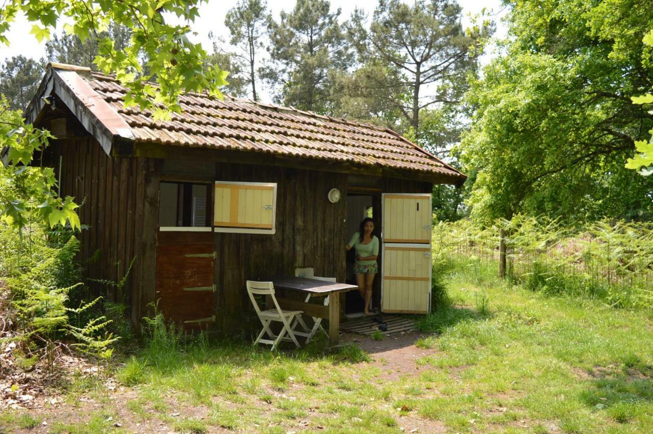 Cabane En Foret Onesse-et-Laharie Zewnętrze zdjęcie