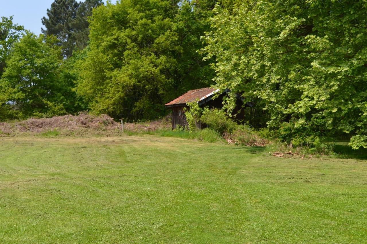 Cabane En Foret Onesse-et-Laharie Zewnętrze zdjęcie
