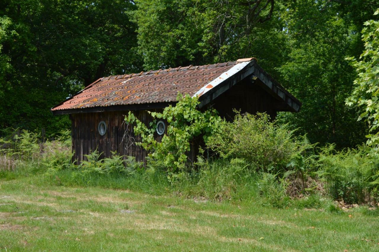 Cabane En Foret Onesse-et-Laharie Zewnętrze zdjęcie