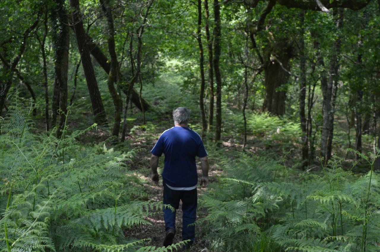 Cabane En Foret Onesse-et-Laharie Zewnętrze zdjęcie