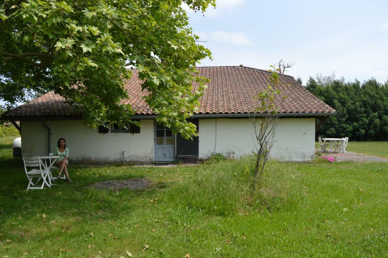 Cabane En Foret Onesse-et-Laharie Zewnętrze zdjęcie