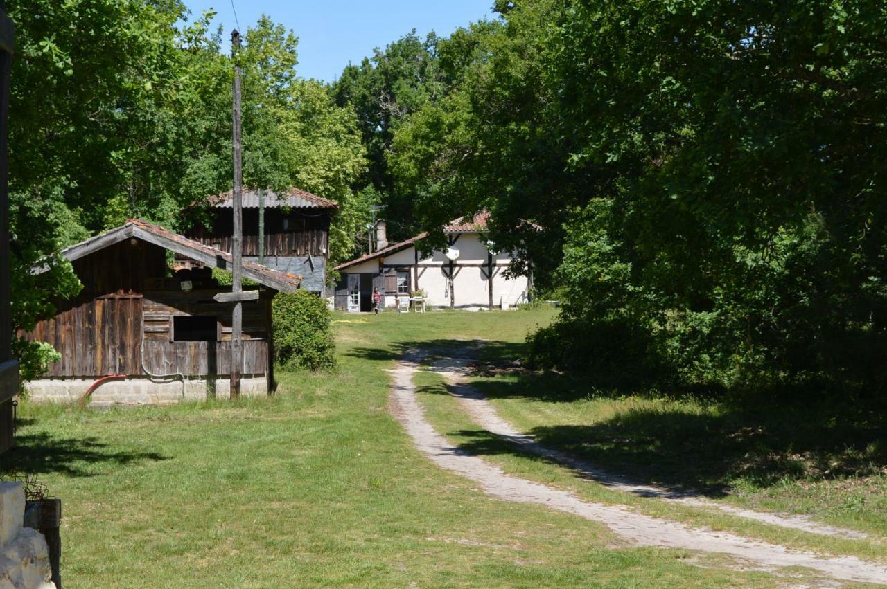 Cabane En Foret Onesse-et-Laharie Zewnętrze zdjęcie