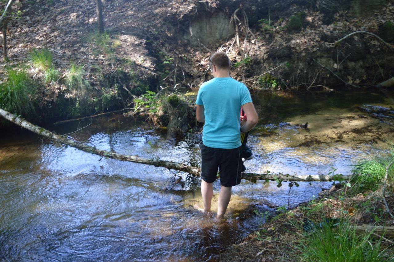 Cabane En Foret Onesse-et-Laharie Zewnętrze zdjęcie